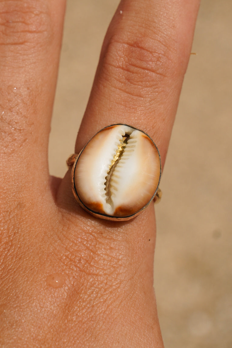 Bezel-Set Cowrie Shell Ring – Gold-Filled (Size 7)