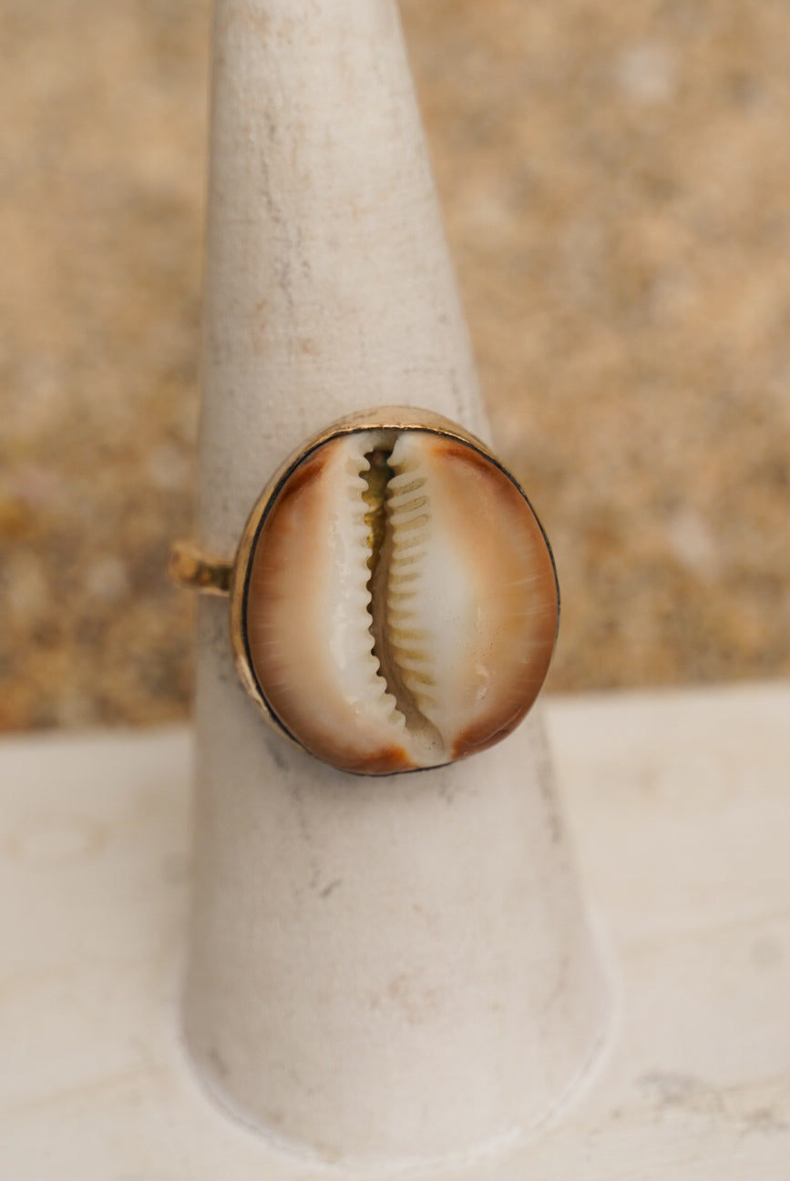 Bezel-Set Cowrie Shell Ring – Gold-Filled (Size 7)